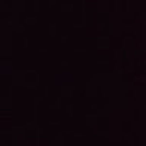 Meet your Posher, Rodrigo